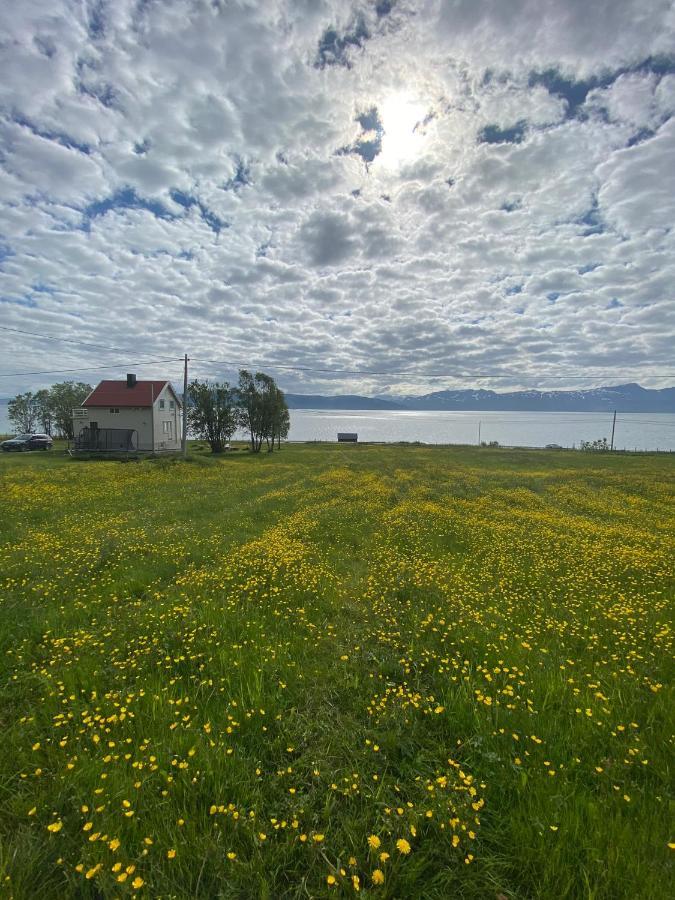 Unique And Charming Holiday Home With Fantastic Sea Views ทรอมโซ ภายนอก รูปภาพ