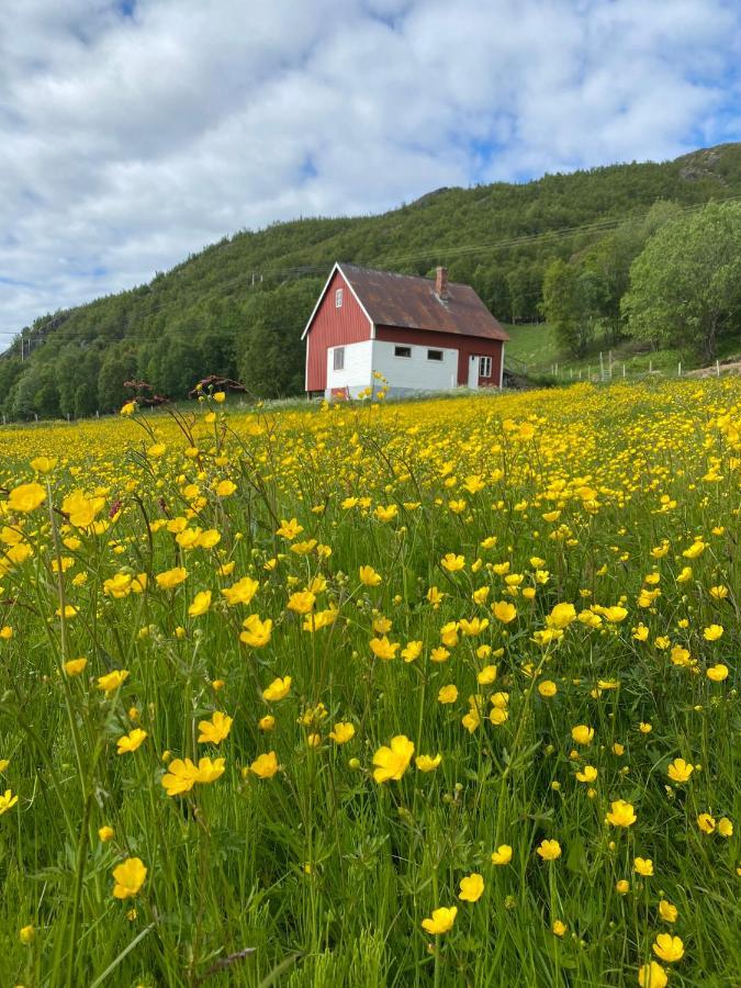 Unique And Charming Holiday Home With Fantastic Sea Views ทรอมโซ ภายนอก รูปภาพ