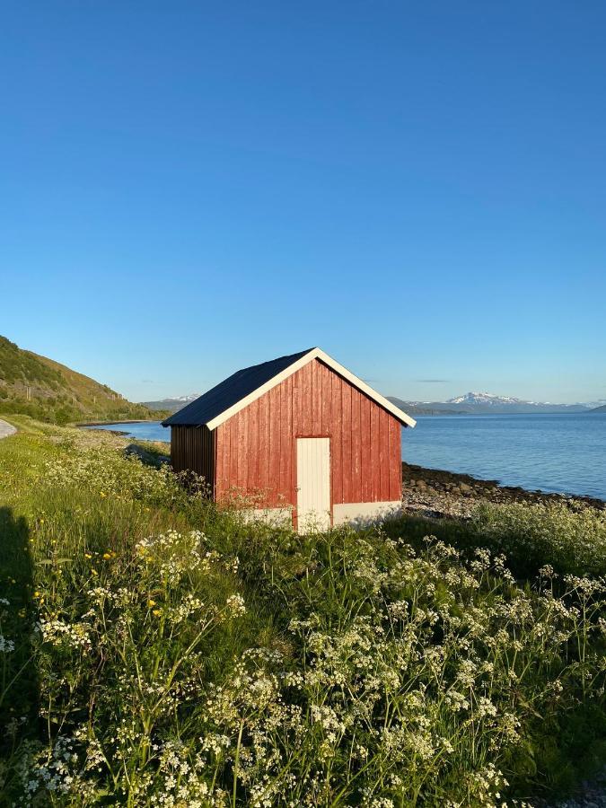 Unique And Charming Holiday Home With Fantastic Sea Views ทรอมโซ ภายนอก รูปภาพ