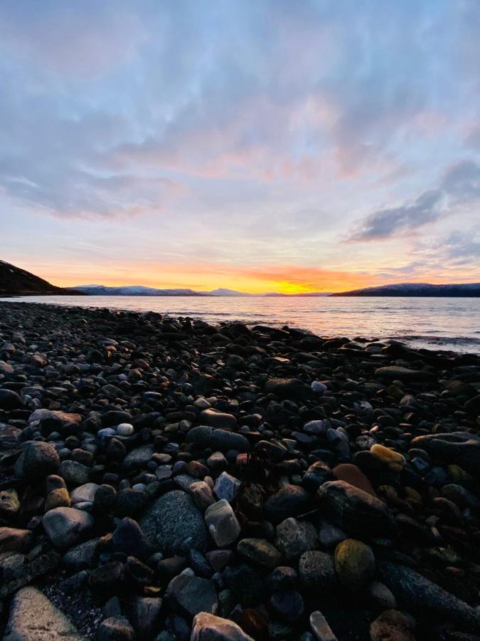 Unique And Charming Holiday Home With Fantastic Sea Views ทรอมโซ ภายนอก รูปภาพ