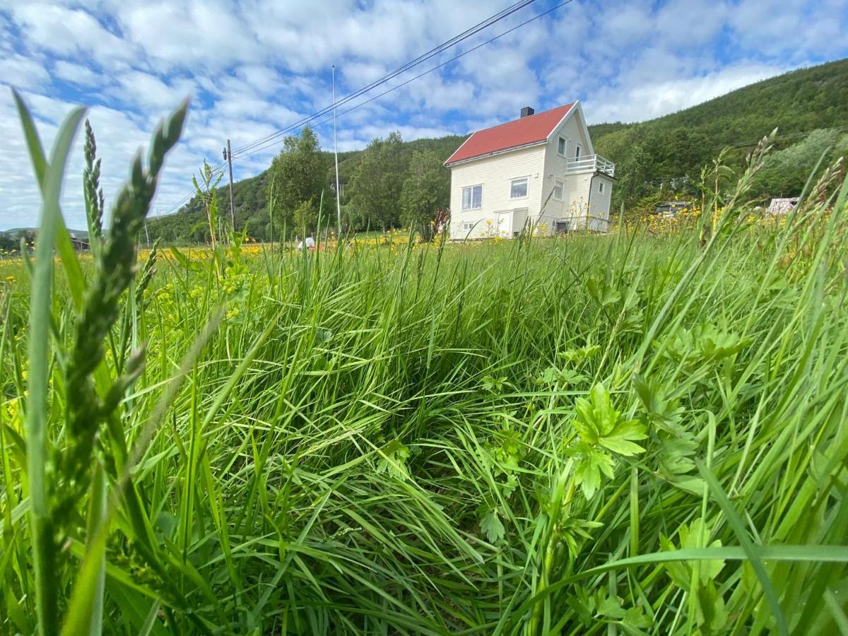 Unique And Charming Holiday Home With Fantastic Sea Views ทรอมโซ ภายนอก รูปภาพ